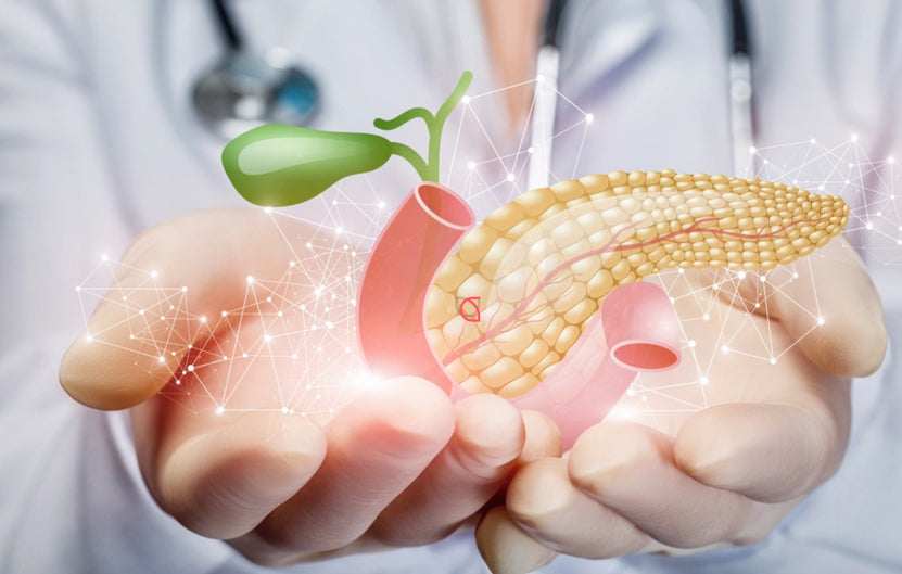 Pancreas Protection: How to Guard Against This “Difficult” Organ