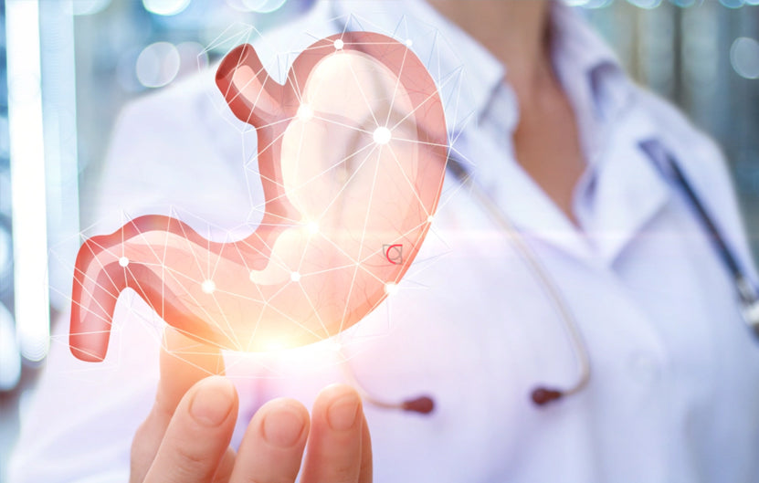 Integrated Chinese and Western Medicine Perspectives in Digestive Disease Care