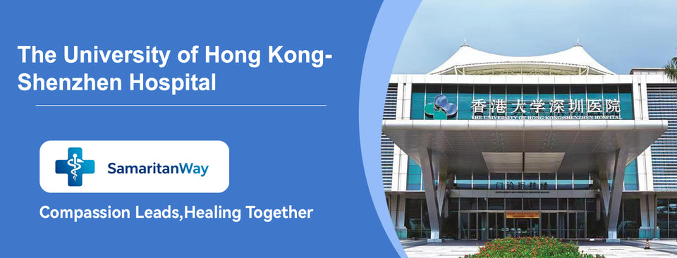 The University of Hong Kong-Shenzhen Hospital - Detail