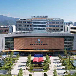 Third Affiliated Hospital of Sun Yat-sen University category image