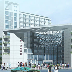 Guangdong Provincial Hospital of Chinese Medicine category image